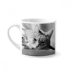 Dıythinker 170 ml Beyaz Hayvan Saf Gri Kedi Fotoğraf Resim Mini Kahve Seramik Kupa