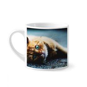 Dıythinker 170 ml Beyaz Hayvan Saf Mavi Gözlü Kedi Fotoğrafı Mini Kahve Seramik Kupa