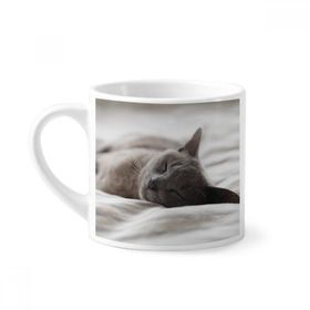 Dıythinker 170 ml Beyaz Hayvan Sevimli Gri Kedi Fotoğraf Çekimi Mini Kahve Seramik Kupa