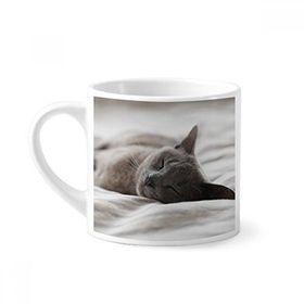 Dıythinker 170 ml Beyaz Hayvan Sevimli Gri Kedi Fotoğraf Çekimi Mini Kahve Seramik Kupa