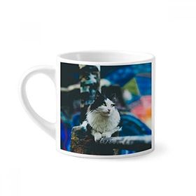 Dıythinker 170 ml Beyaz Hayvan Tembel Kedi Fotoğraf Çekimi Mini Kahve Seramik Kupa
