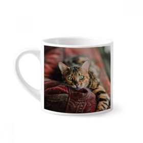 Dıythinker 170 ml Beyaz Hayvan Yeşil Gözlü Kedi Fotoğrafı Mini Kahve Seramik Kupa