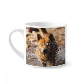 Dıythinker 170 ml Beyaz Japon Köpek Sevimli Hayvan Fotoğrafçılığı Mini Kahve Seramik Kupa