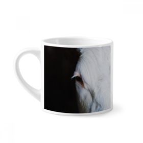 Dıythinker 170 ml Beyaz Karasal Organizma Hayvan Fotoğrafçılığı Mini Kahve Seramik Kupa