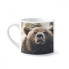 Dıythinker 170 ml Beyaz Karasal Organizma Vahşi Hayvan Ayı Mini Kahve Seramik Kupa