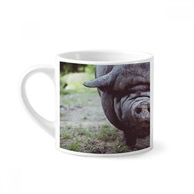Dıythinker 170 ml Beyaz Karasal Organizma Vahşi Hayvan Fotoğrafçılığı Mini Kahve Seramik Kupa