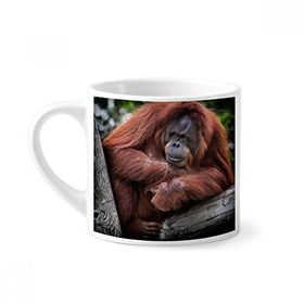 Dıythinker 170 ml Beyaz Karasal Organizma Vahşi Hayvan Orang-utan Mini Kahve Seramik Kupa