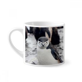 Dıythinker 170 ml Beyaz Karasal Organizma Vahşi Hayvan Penguen Mini Kahve Seramik Kupa