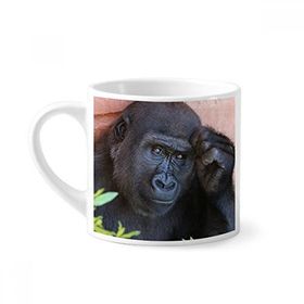 Dıythinker 170 ml Beyaz Karasal Organizma Vahşi Hayvan Şempanze Mini Kahve Seramik Kupa