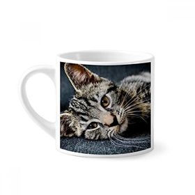 Dıythinker 170 ml Beyaz Kedi Çizgili Kedi Hayvan Rahatlama Sevimli Mini Kahve Seramik Kupa