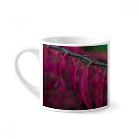 Dıythinker 170 ml Beyaz Kırmızı Yaprak Bitki Doğa Fotoğrafçılığı Mini Kahve Seramik Kupa