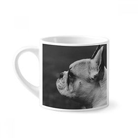 Dıythinker 170 ml Beyaz Köpek Evcil Hayvan Hayvan Gri Resim Mini Kahve Seramik Kupa