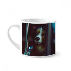 Dıythinker 170 ml Beyaz Köpek Evcil Hayvan Yalnız Resim Mini Kahve Seramik Kupa
