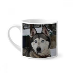 Dıythinker 170 ml Beyaz Köpek Hayvan Kar Husky Fotoğrafçılık Mini Kahve Seramik Kupa