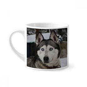 Dıythinker 170 ml Beyaz Köpek Hayvan Kar Husky Fotoğrafçılık Mini Kahve Seramik Kupa