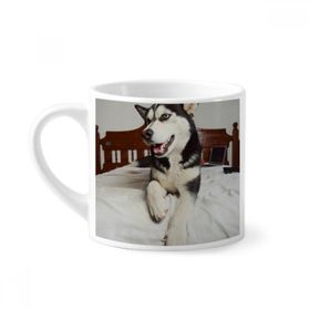 Dıythinker 170 ml Beyaz Köpek Hayvan Oda Husky Resim Mini Kahve Seramik Kupa