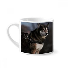 Dıythinker 170 ml Beyaz Köpek Husky Hayvan Yalnız Gece Mini Kahve Seramik Kupa
