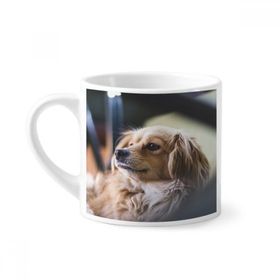 Dıythinker 170 ml Beyaz Köpek Küçük Hayvan Yalnız Fotoğraf Mini Kahve Seramik Kupa
