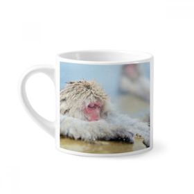 Dıythinker 170 ml Beyaz Maymun Organizma Hayvan Fotoğrafçılığı Mini Kahve Seramik Kupa
