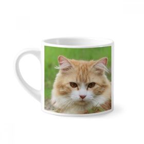 Dıythinker 170 ml Beyaz Sarı Çizgili Kedi Stare Evcil Hayvan Mini Kahve Seramik Kupa