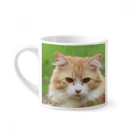 Dıythinker 170 ml Beyaz Sarı Çizgili Kedi Stare Evcil Hayvan Mini Kahve Seramik Kupa
