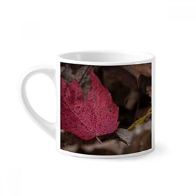 Dıythinker 170 ml Beyaz Simpol Kırmızı Akçaağaç Yaprağı Bitki Resmi Mini Kahve Seramik Kupa