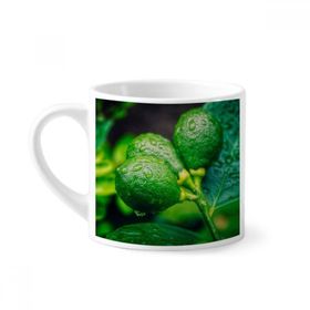 Dıythinker 170 ml Beyaz Taze Meyveler Limon Resim Fotoğrafçılığı Mini Kahve Seramik Kupa