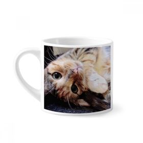 Dıythinker 170 ml Çizgili Kitty Cat Relax Hayvan Sevimli Mini Beyaz Çömlekçilik Seramik Saplı Kupa