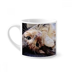 Dıythinker 170 ml Çizgili Kitty Cat Relax Hayvan Sevimli Mini Beyaz Çömlekçilik Seramik Saplı Kupa