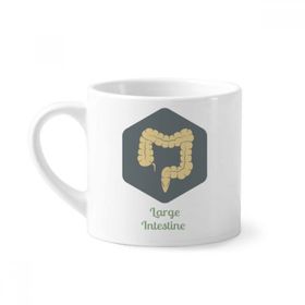 Dıythinker 170 ml Vücut Organları Büyük Bağırsak Mini Beyaz Çömlekçilik Seramik Saplı Kupa