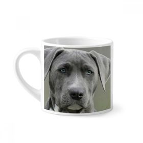 Dıythinker 170 ml Yakışıklı Köpek Evcil Hayvan Resim Mini Beyaz Çömlekçilik Seramik Saplı Kupa