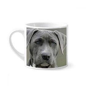 Dıythinker 170 ml Yakışıklı Köpek Evcil Hayvan Resim Mini Beyaz Çömlekçilik Seramik Saplı Kupa