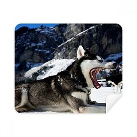 Dıythinker 2 Adet Süet Kumaş Büyük Ağızlı Köpek Kar Husky Resimli Telefon Ekran Temizleyici ve Gözlük Temizleme Bezi