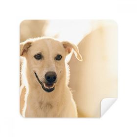 Dıythinker 2 Adet Süet Kumaş Gülümseme Beyaz Köpek Evcil Hayvan Resim Gözlükleri Temizleme Bezi ve Telefon Ekran Temizleyici