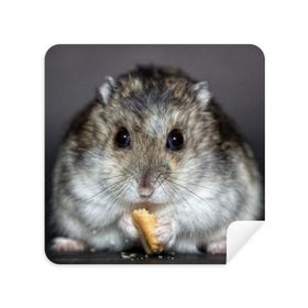 Dıythinker 2 Adet Süet Kumaş Hamster Hayvan Sıçan Evcil Hayvan Sevimli Yemek Gözlükleri Temizleme Bezi ve Telefon Ekran Temizleyici