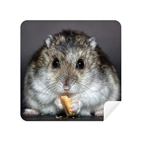 Dıythinker 2 Adet Süet Kumaş Hamster Hayvan Sıçan Evcil Hayvan Sevimli Yemek Gözlükleri Temizleme Bezi ve Telefon Ekran Temizleyici