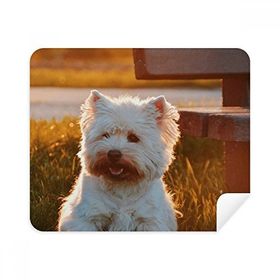 Dıythinker 2 Adet Süet Kumaş Köpek Beyaz Hayvan Yalnız Gece Telefon Ekran Temizleyici ve Gözlük Temizleme Bezi