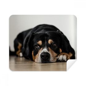 Dıythinker 2 Adet Süet Kumaş Köpek Evcil Hayvan Fotoğraf Zemin Resmi Telefon Ekran Temizleyici ve Gözlük Temizleme Bezi