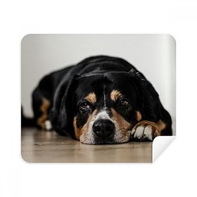 Dıythinker 2 Adet Süet Kumaş Köpek Evcil Hayvan Fotoğraf Zemin Resmi Telefon Ekran Temizleyici ve Gözlük Temizleme Bezi