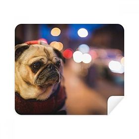 Dıythinker 2 Adet Süet Kumaş Köpek Evcil Hayvan Yalnız Fotoğraf Telefon Ekran Temizleyici ve Gözlük Temizleme Bezi