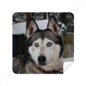Dıythinker 2 Adet Süet Kumaş Köpek Hayvan Kar Husky Fotoğraf Gözlükleri Temizleme Bezi ve Telefon Ekran Temizleyici