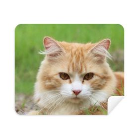 Dıythinker 2 Adet Süet Kumaş Sarı Çizgili Kedi Stare Evcil Hayvan Telefon Ekran Temizleyici ve Gözlük Temizleme Bezi