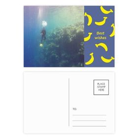 Dıythinker 20 Adet 14x9 cm Renkli Okyanus Su Dalış Bilim Doğa Resmi Muz Kartpostal Seti
