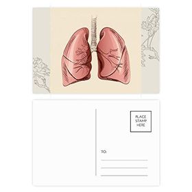 Dıythinker 20 Adet 14x9 cm Renkli Organ Akciğer İnsan İllüstrasyon Çiçek Kartpostal Seti