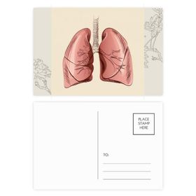 Dıythinker 20 Adet 14x9 cm Renkli Organ Akciğer İnsan İllüstrasyon Çiçek Kartpostal Seti