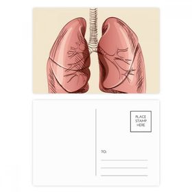 Dıythinker 20 Adet 14x9 cm Renkli Organ Akciğer İnsan İllüstrasyon Kartpostal Seti