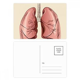 Dıythinker 20 Adet 14x9 cm Renkli Organ Akciğer İnsan İllüstrasyon Kartpostal Seti