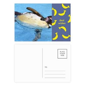 Dıythinker 20 Adet 14x9 cm Renkli Yüzme Antarktik Penguen Bilim Doğa Resmi Muz Kartpostal Seti