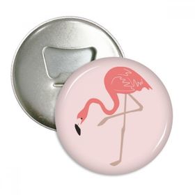 Dıythinker 3 Adet Ayakta Duran Flamingo Desenli Yuvarlak Şişe Açacağı Buzdolabı Mıknatısı Rozet Düğmesi