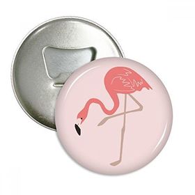 Dıythinker 3 Adet Ayakta Duran Flamingo Desenli Yuvarlak Şişe Açacağı Buzdolabı Mıknatısı Rozet Düğmesi